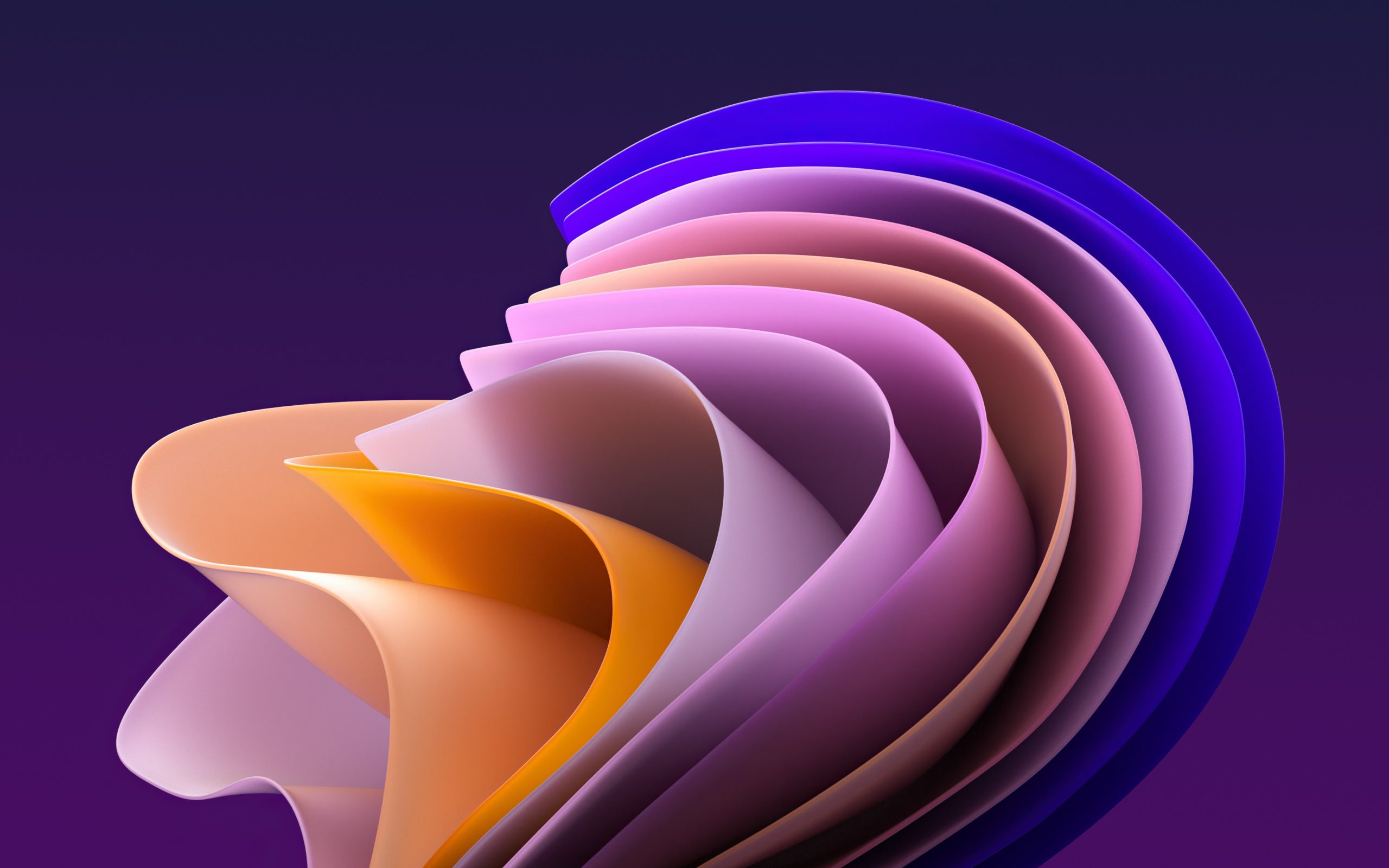 Windows 11 开启教育主题的方法 和 教育版桌面背景下载